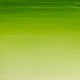 COTMAN SAP GREEN